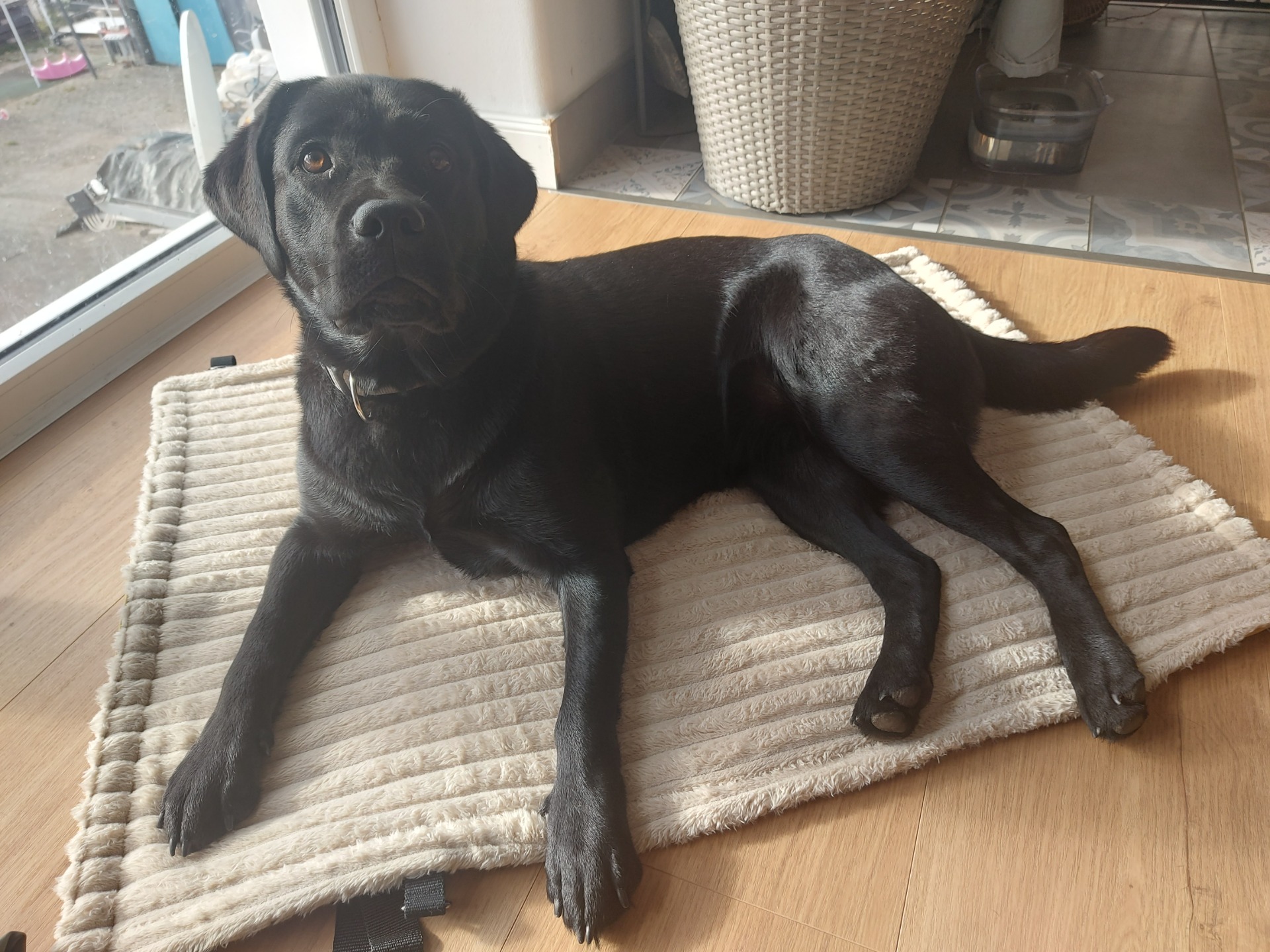 Größe L (70x100 cm)